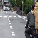 Mein Hund und treuer Gefährte Charly