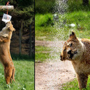 Meine neue Dusche