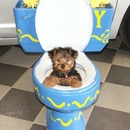 Das ist nicht die Badewanne