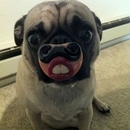 Wunderbar Genial der Shot