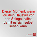 Dieser Moment, wenn...