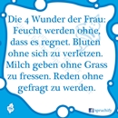 Spruch des Tages