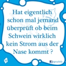 Spruch des Tages