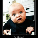 best of demotivators