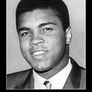 best of demotivators