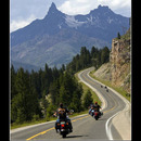 best of demotivators