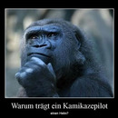 best of demotivators