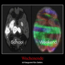 best of demotivators