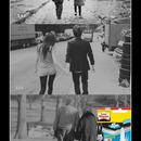 best of demotivators