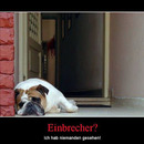 best of demotivators