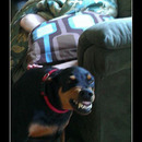 best of demotivators