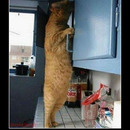 best of demotivators