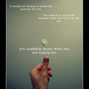 best of demotivators