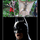 best of demotivators