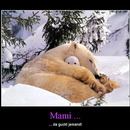 best of demotivators