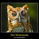 best of demotivators