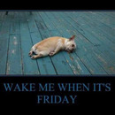 best of demotivators