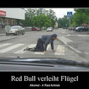 best of demotivators