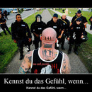 best of demotivators