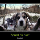 best of demotivators