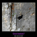 best of demotivators