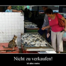 best of demotivators