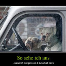 best of demotivators