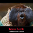 best of demotivators