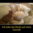 best of demotivators