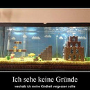 best of demotivators