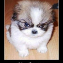 best of demotivators