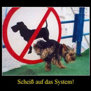 best of demotivators