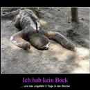 best of demotivators