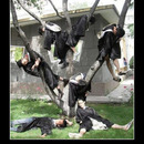 best of demotivators