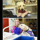 best of demotivators