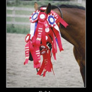 best of demotivators