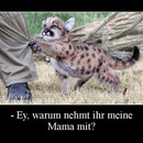 best of demotivators