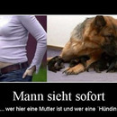 best of demotivators