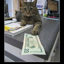 best of demotivators