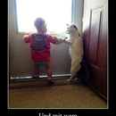 best of demotivators