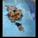 best of demotivators