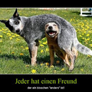 best of demotivators