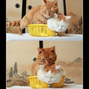 best of demotivators