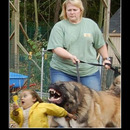 best of demotivators