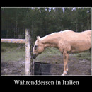 best of demotivators