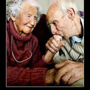 best of demotivators