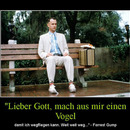 best of demotivators