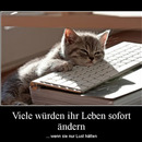 best of demotivators