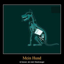 best of demotivators