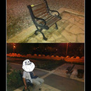 best of demotivators